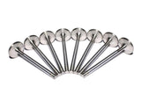 COMP Cams Ss Valves SBC Exh 1.500in 11/3 - 6016-8
