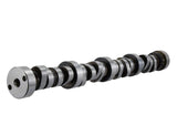 Ford Racing Small Block V-8 Hydraulic Roller Tappet Camshafts - M-6250-F303