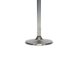Manley 99-10 Dodge Viper 2.020in Diameter 5.728in Length Race Master Exhaust Valve (Single) - 11644-1