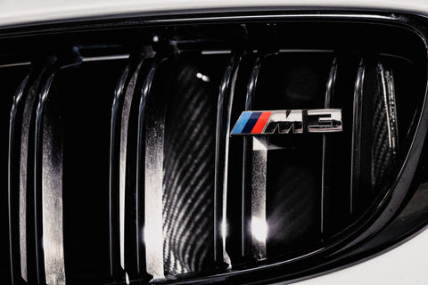 AMS Performance 15-18 BMW M3 / 15-20 BMW M4 w/ S55 3.0L Turbo Engine Carbon Fiber Intake - AMS.39.08.0001-1