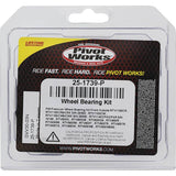 Pivot Works Kubota Wheel Bearing Kit Premium Bearings - 25-1739-P