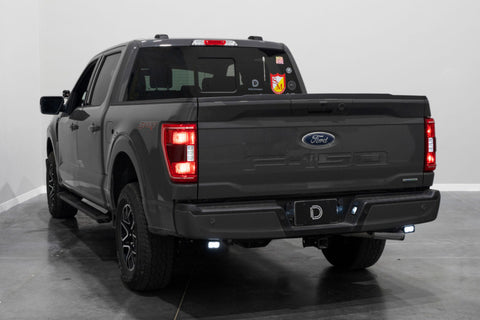 Diode Dynamics 21-22 Ford F-150 Stage Series Reverse Light Mounting Kit - DD7373P