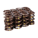 Skunk2 Pro Series Honda/Acura K-Series i-VTEC XP Valve Spring Set (Dual Springs) - 311-05-7380