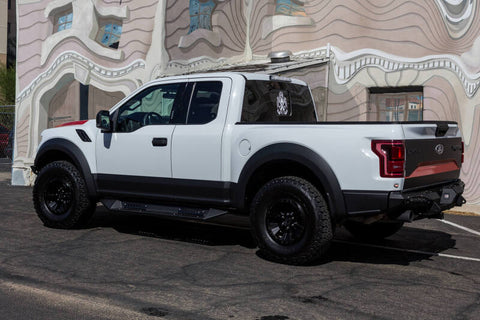 Addictive Desert Designs 17-18 Ford F-150 Raptor HoneyBadger Rear Bumper w/ 10in SR LED Mounts - R117321430103