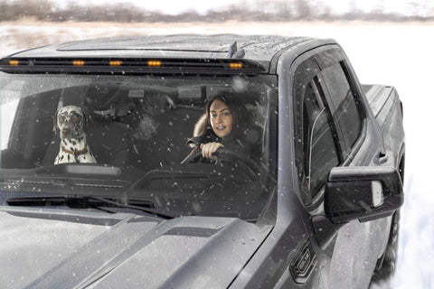 AVS 2019 Chevrolet Silverado 1500 Crew Cab Pickup Ventvisor Low Profile 4pc - Smoke - 894075