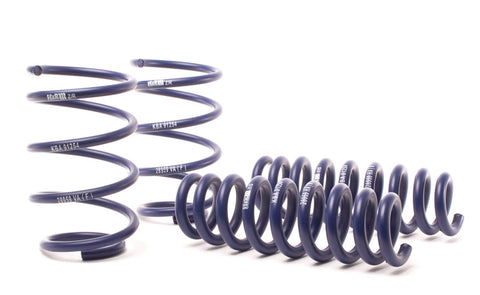 H&R 13-15 BMW X1 sDrive28i E84 Sport Spring (2WD Only) - 28959-1