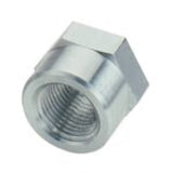 Fragola 3/4 FPT Weld Bung - 496706