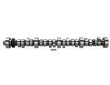 Ford Racing Small Block V-8 Hydraulic Roller Tappet Camshafts - M-6250-F303
