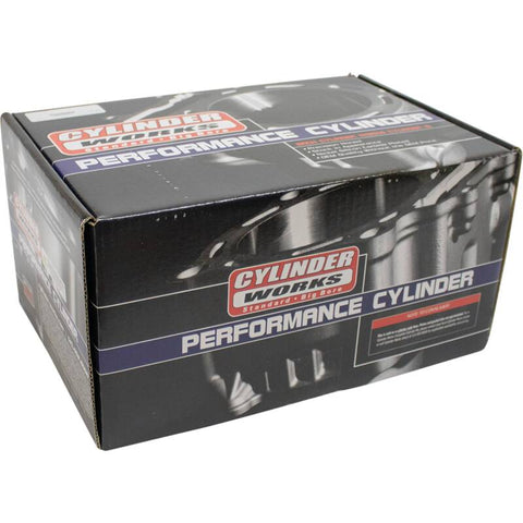 Cylinder Works 17-19 Polaris ACE 900 EPS XC 900cc Big Bore Cylinder 98mm - CW61007-1