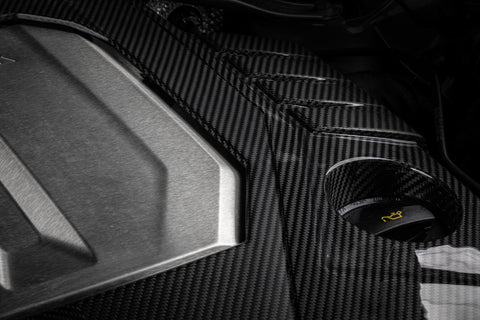 APR 21-26 Audi RS6 Avant Engine Cover - Carbon Fiber - MS100253