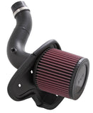K&N 08-09 Honda Accord L4-2.4L Typhoon Short Ram Intake - 69-1211TTK