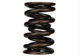 Ford Racing Replacement Valve Springs (TVS-1734) - Set Of 8 - M-6513-17348