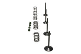 Wiseco 06-11 Suzuki LT-R450 Steel Valve Set - SVKB3406