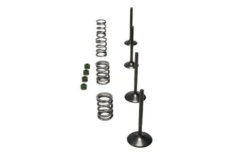 Wiseco 06-11 Suzuki LT-R450 Steel Valve Set - SVKB3406