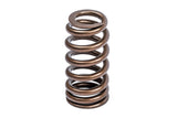 APR 12-16 Porsche Panamera Valve Spring - Single - MS100258