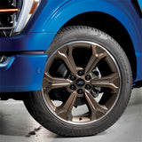 Ford Racing 15-23 F-150 22in Wheel Kit - Sinister Bronze - M-1007K-S2295SB