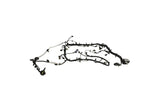 Ford Racing 5.0L Coyote Engine Harness for Automatic Transmission - M-12508-M50A