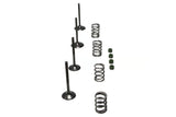 Wiseco 06-11 Suzuki LT-R450 Steel Valve Set - SVKB3406