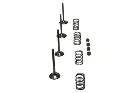 Wiseco 06-11 Suzuki LT-R450 Steel Valve Set - SVKB3406