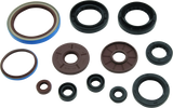 QuadBoss 09-10 Arctic Cat 1000 TRV Oil Seal Set - 564644