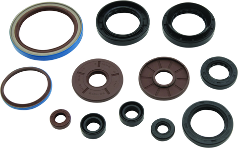 QuadBoss 09-10 Arctic Cat 1000 TRV Oil Seal Set - 564644