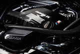 AMS Performance 15-18 BMW M3 / 15-20 BMW M4 w/ S55 3.0L Turbo Engine Carbon Fiber Intake - AMS.39.08.0001-1