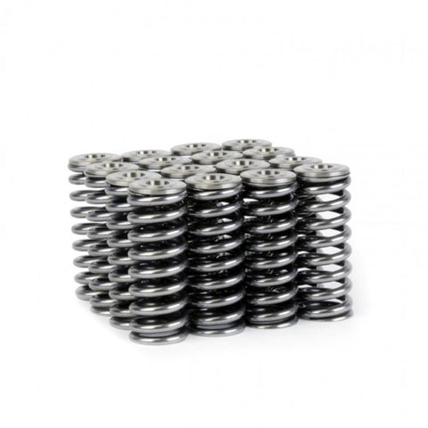 Skunk2 Alpha Series Honda/Acura D Series Valve Spring and Titanium Retainer Kit - 344-05-1350
