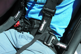 DragonFire Racing Harness Evo- Black - 520761