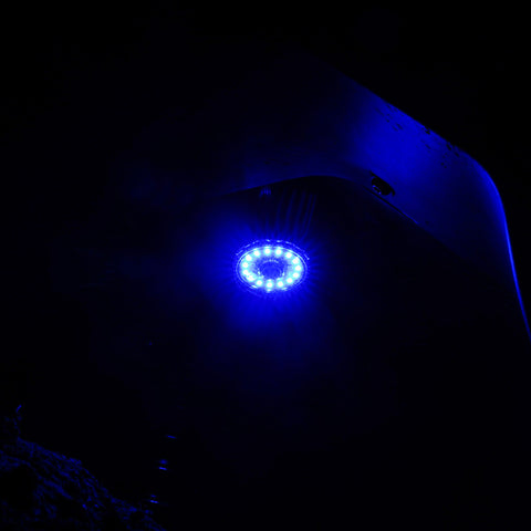 KC HiLiTES Cyclone V2 LED - Replacement Lens - Blue - Single - 4404
