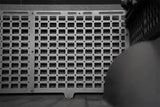 Addictive Desert Designs 21-23 Dodge Ram TRX Bed Cab Molle Panels - Full Set - AC6202101NA