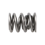 Manley Nissan (KA24DE) 16pc Valve Springs - 22160-16