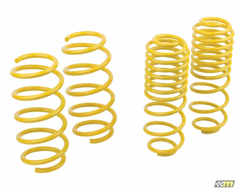 mountune Sport Spring Set 2014-2015 Fiesta ST - 2364-MSK-BA