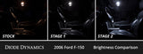 Diode Dynamics 04-08 d F-150 Interior LED Kit Cool White Stage 2 - DD0596