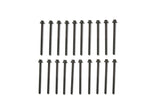 Ford Racing 5.0L/5.2L Coyote 12MM Long Head Bolt Kit - M-6067-M501280