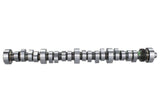 Ford Racing Small Block V-8 Hydraulic Roller Tappet Camshafts - M-6250-B303