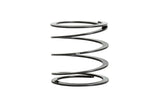 Eibach ERS 2.50 inch dia Coilover Helper Spring - Helper250