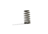 Ford Racing BOSS 302R Valve Spring Kit - M-6513-M50BR