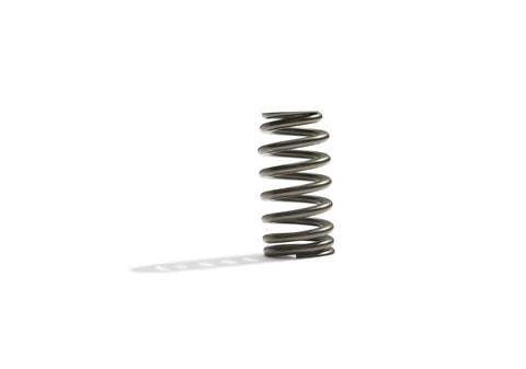 Ford Racing BOSS 302R Valve Spring Kit - M-6513-M50BR