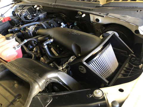 aFe Magnum FORCE Stage-2 Pro DRY S Cold Air Intake System 2018 Ford F-150 V6 3.3L - 54-13019D