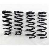 RS-R 98-05 Lexus GS300/400/430 (JZS160) Down Sus Springs - T223D