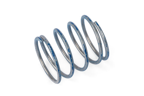 APR 76-83 Porsche 911 R1 DV Higher Pressure Spring - Blue - Z1001791