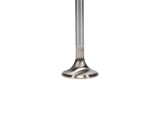 Manley Ford 4.6L/5.4L DOHC 4V 30mm Dia 4.587in Length Bead Loc Race Master Exhaust Valves (Set of 8) - 11615B-8
