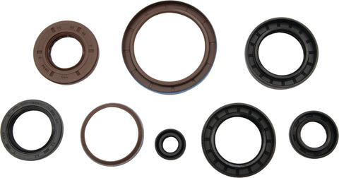 Vertex Gaskets 12-14 Arctic Cat 550 EFI 4x4 Oil Seal Kit - 822381
