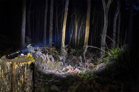ARB Pureview 800 Flashlight 800 Lumen Flashlight - 10500070
