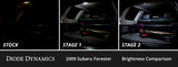 Diode Dynamics 09-13 Subaru ester Interior LED Kit Cool White Stage 1 - DD0615