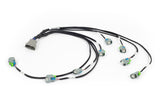 Haltech NEXUS Rebel LS EV6 Injector Sub-Harness (Plug-n-Play w/HT-186500) - HT-186502
