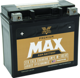 Twin Power GYZ-20HL Premium MAX Battery Replaces H-D 65989-97A Made in USA - 485022