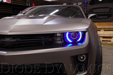 Diode Dynamics 10-13 RS/12-15 ZL1 Camaro RGBW LED Boards - DD2215