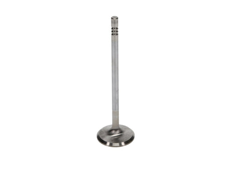 Manley Ford 4.6L 34mm Diameter 117.35mm Length Race Master Exhaust Valves (Set of 8) - 11630-8