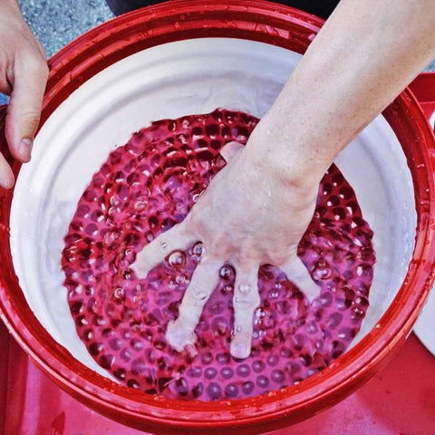 Chemical Guys Cyclone Dirt Trap Car Wash Bucket Insert - Red - DIRTTRAP02